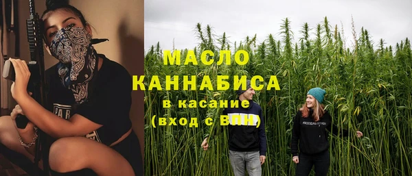 стаф Дмитриев