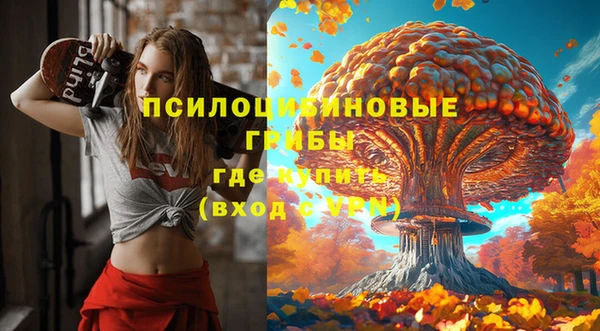 jwh Гусиноозёрск